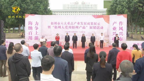 梧州六大重點(diǎn)產(chǎn)業(yè)成果閃耀，本土品牌展銷與文化交流共繪發(fā)展新篇